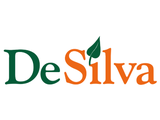 Logo De Silva Haus S.A.