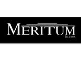 Logo Meritum Sp. z o.o.