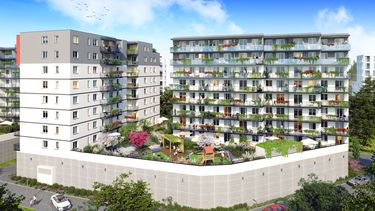 Comfort City Koral