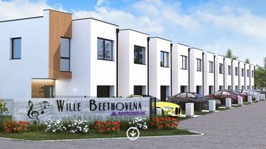 Wille Beethovena